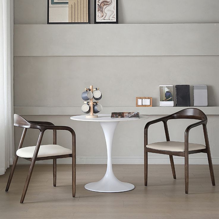 Round Sintered Stone White Dining Table Simplicity Tulip Base Table for Dining Room Clearhalo ' dining_table' 'Dining Tables & Seating' 'Dining Tables' 'furn' 'furn_dining_table' 'Furniture' 'furniture_dining_table' 'Kitchen & Dining Furniture' 'kitchen&dining_furn' 'kitchen' 'kitchen_dining_table' 1200x1200_1aa77bed-8bff-46cf-b62b-f9ccaf5f0c74
