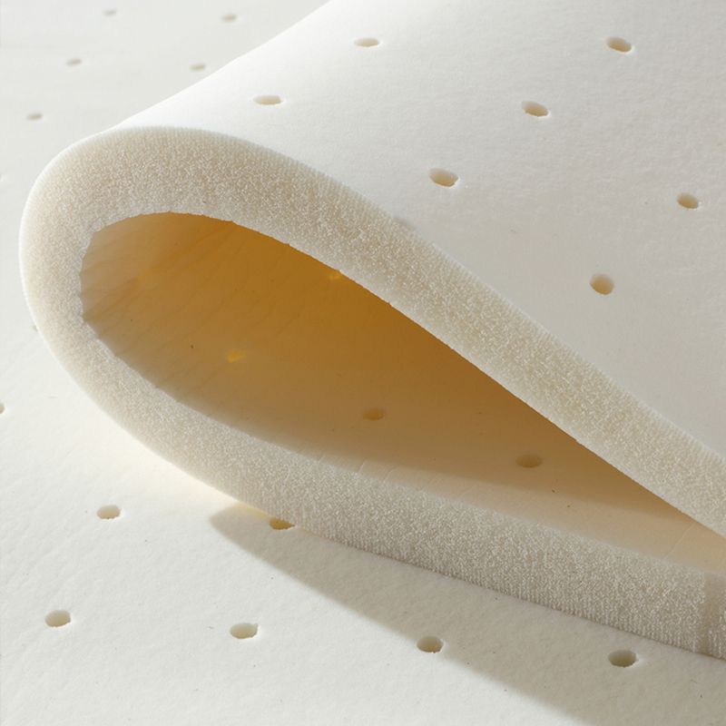 Contemporary Faux Leather/Cotton Blend Loveseat Pillow Top Arm Sofa Clearhalo 'furn' 'furn_sofas' 'Furniture' 'furniture_sofas' 'Living Room Furniture' 'Sofa' 'sofas' 1200x1200_1b021acd-6713-4afc-a686-10cc900cec20