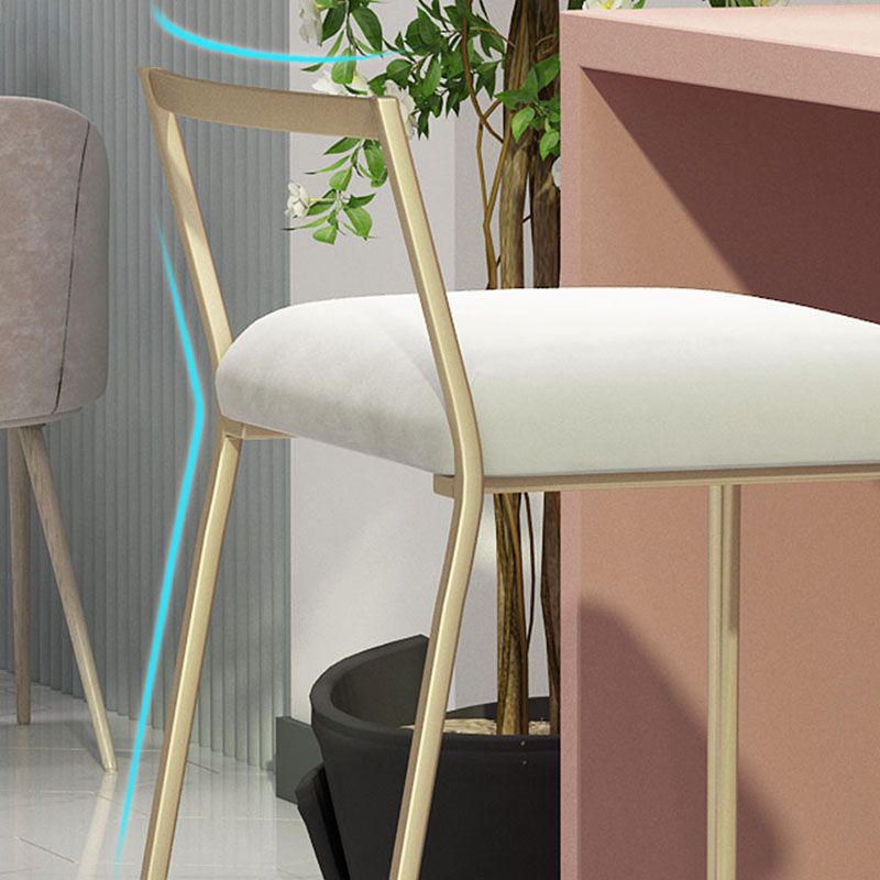 Glam Metal Dining Room Chair Armless Velvet Dining Side Chair for Restaurant Use Clearhalo 'Dining Chairs' 'Dining Tables & Seating' 'dining_chair' 'furn' 'furn_dining_chair' 'Furniture' 'Kitchen & Dining Furniture' 1200x1200_1b055233-e700-4639-8933-24745c2021de