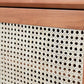 1 Door Rattan Nightstand Contemporary Night Table with 1 Shelves ,23.6" Tall