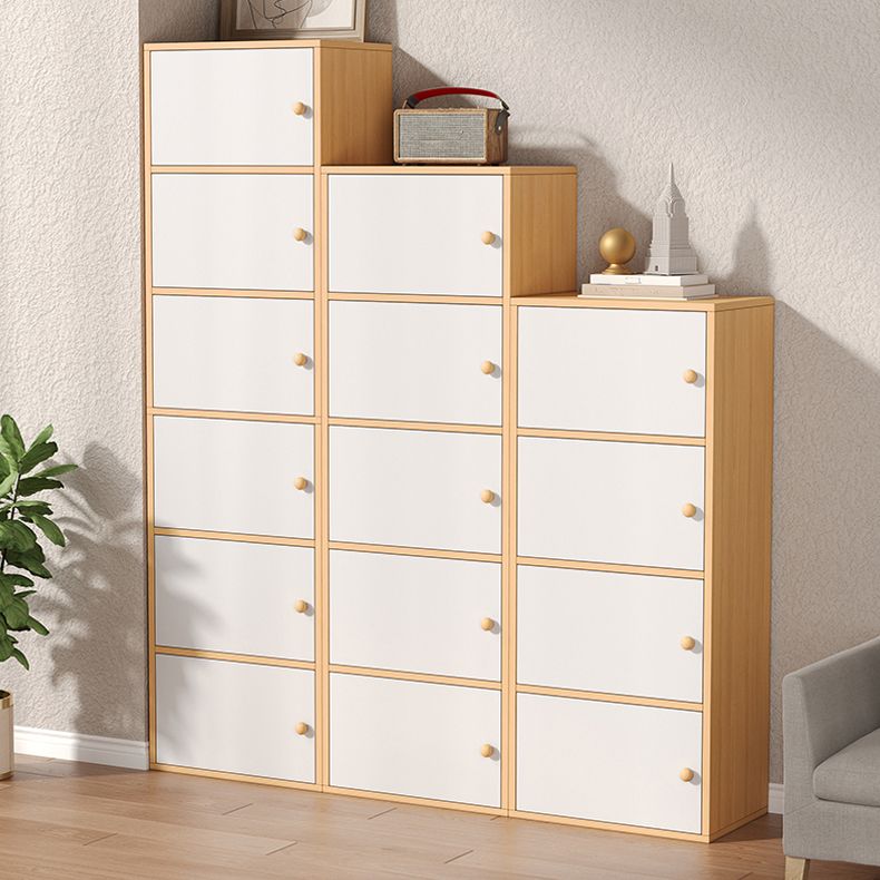 Contemporary Wooden Accent Cabinet Rectangle Storage Cabinet with Door