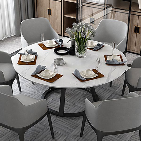 Contemporary Round Dining Table White Sintered Stone Dining Table with Pedestal Base Clearhalo ' dining_table' 'Dining Tables & Seating' 'Dining Tables' 'Furniture' 'furniture_dining_table' 'Kitchen & Dining Furniture' 'kitchen&dining_furn' 'kitchen' 'kitchen_dining_table' 1200x1200_1c4ff4cd-95de-4ccb-a50d-711c40ffd371