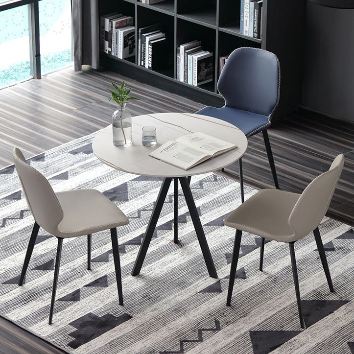 Modern Style Sintered Stone Dining Table Round Dinner Table with Pedestal Base Clearhalo ' dining_table' 'Dining Tables & Seating' 'Dining Tables' 'furn' 'furn_dining_table' 'Furniture' 'furniture_dining_table' 'Kitchen & Dining Furniture' 'kitchen&dining_furn' 'kitchen' 'kitchen_dining_table' 1200x1200_1cb4f290-3dae-4473-b8f1-a68ae5767610