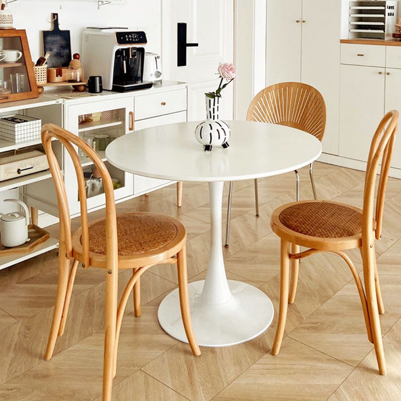 Traditional Style Side Chair Solid Wood Wingback Armless Dining Chair Clearhalo 'Dining Chairs' 'Dining Tables & Seating' 'dining_chair' 'furn' 'furn_dining_chair' 'Furniture' 'Kitchen & Dining Furniture' 1200x1200_1d5f779b-e27e-41e5-901c-1e130987c7ff