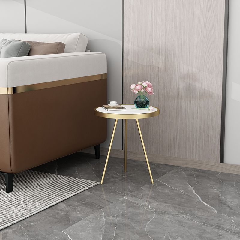 Round End Table Modern Minimalist Side End Table for Living Room Clearhalo 'Coffee & Accent Tables' 'End & Side Tables' 'end_side_tables' 'furn' 'furn_end_side_tables' 'Furniture' 'Living Room Furniture' 1200x1200_1d95c8fb-0541-46f7-aa17-94ceda937a0c