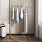 Modern Clothes Hanger Free Standing Metal Coat Rack with Coat Hook