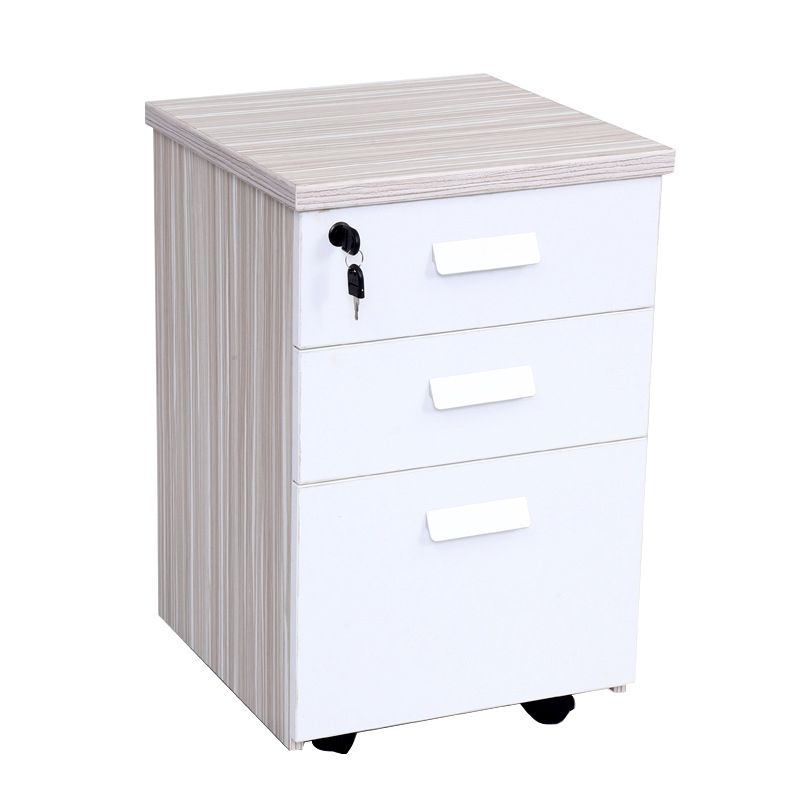 Modern Vertical Filing Cabinet Engineered Wood Filing Cabinet on Wheels Clearhalo 'Filing Cabinets' 'filling_cabinets' 'furn' 'furn_filling_cabinets' 'Furniture' 'Office Furniture' 1200x1200_1e1d9236-f9a4-4a35-8adb-cd4cdbed4212