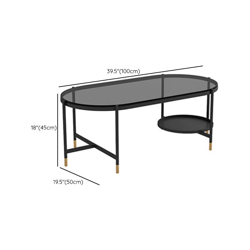 Contemporary Elliptical Glass & Slate Coffee Cocktail Table with Storage Shelf Clearhalo 'Coffee & Accent Tables' 'Coffee Tables' 'coffee_tables' 'furn' 'furn_coffee_tables' 'Furniture' 'Living Room Furniture' 1200x1200_1e24bd58-eea1-48f0-a52d-749de3f54778