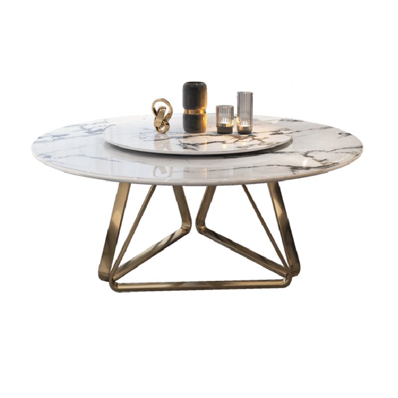 Traditional Luxury Dining Table Round Dining Table for Dinner Room Clearhalo 'Dining Tables & Seating' 'Dining Tables' 'dining_table' 'furn' 'furn_dining_table' 'Furniture' 'Kitchen & Dining Furniture' 1200x1200_1e3c554d-205c-41cb-92ed-d84d9ac3b235