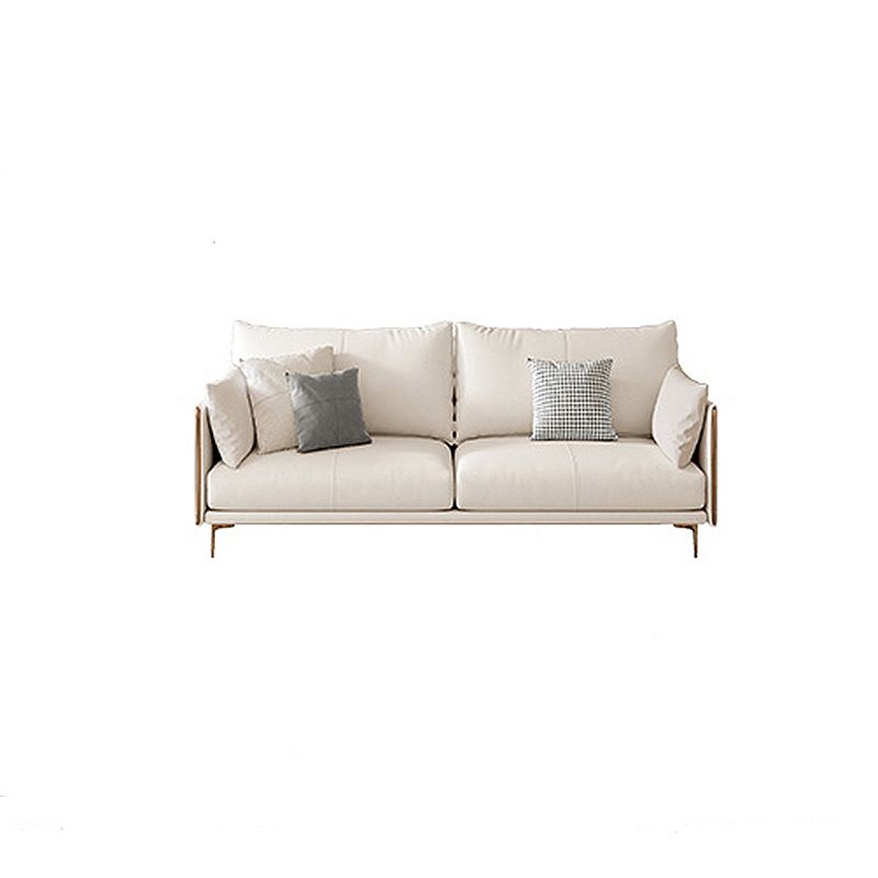 Living Room Velvet Settee Pillow Top Arm Standard Sofa with Cushion Back Clearhalo 'furn' 'furn_sofas' 'Furniture' 'furniture_sofas' 'Living Room Furniture' 'Sofa' 'sofas' 1200x1200_1e46d789-6efc-4044-aa6b-318db3addbc1