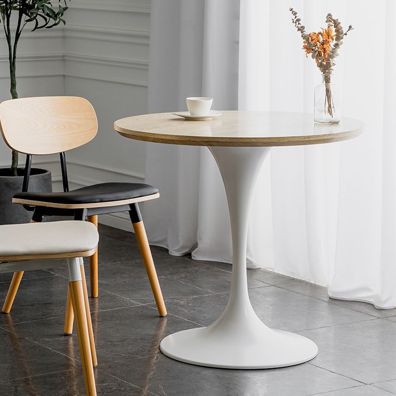 Modern Style Dining Table Round Wood Dining Table with Tulip Base for Home Use Clearhalo ' dining_table' 'Dining Tables & Seating' 'Dining Tables' 'furn' 'furn_dining_table' 'Furniture' 'furniture_dining_table' 'Kitchen & Dining Furniture' 'kitchen&dining_furn' 'kitchen' 'kitchen_dining_table' 1200x1200_1e47f512-e295-4bd1-833e-d17367061d39