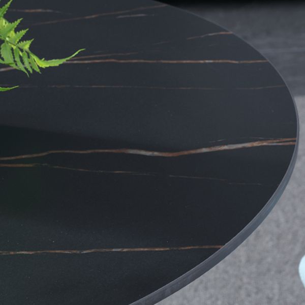 Contemporary Style Sintered Stone Dining Table Metallic Tulip Base Round Table for Home Clearhalo ' dining_table' 'Dining Tables & Seating' 'Dining Tables' 'furn' 'furn_dining_table' 'Furniture' 'furniture_dining_table' 'Kitchen & Dining Furniture' 'kitchen&dining_furn' 'kitchen' 'kitchen_dining_table' 1200x1200_1ec249ad-dc0a-49dc-832b-bb6d75a7caf6