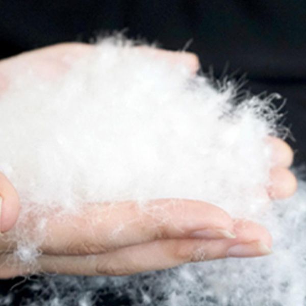 Sedia reclinabile standard di poltrone in legno