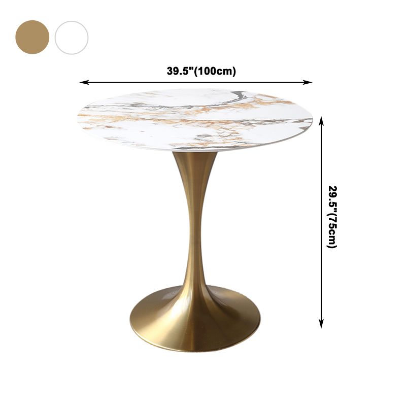 Metal Modern Round Table Sintered Stone Table for Kitchen and Dining Room Clearhalo ' dining_table' 'Dining Tables & Seating' 'Dining Tables' 'furn' 'furn_dining_table' 'Furniture' 'furniture_dining_table' 'Kitchen & Dining Furniture' 'kitchen&dining_furn' 'kitchen' 'kitchen_dining_table' 1200x1200_1f66f400-acdc-4651-b3f0-5a32c04f29b8