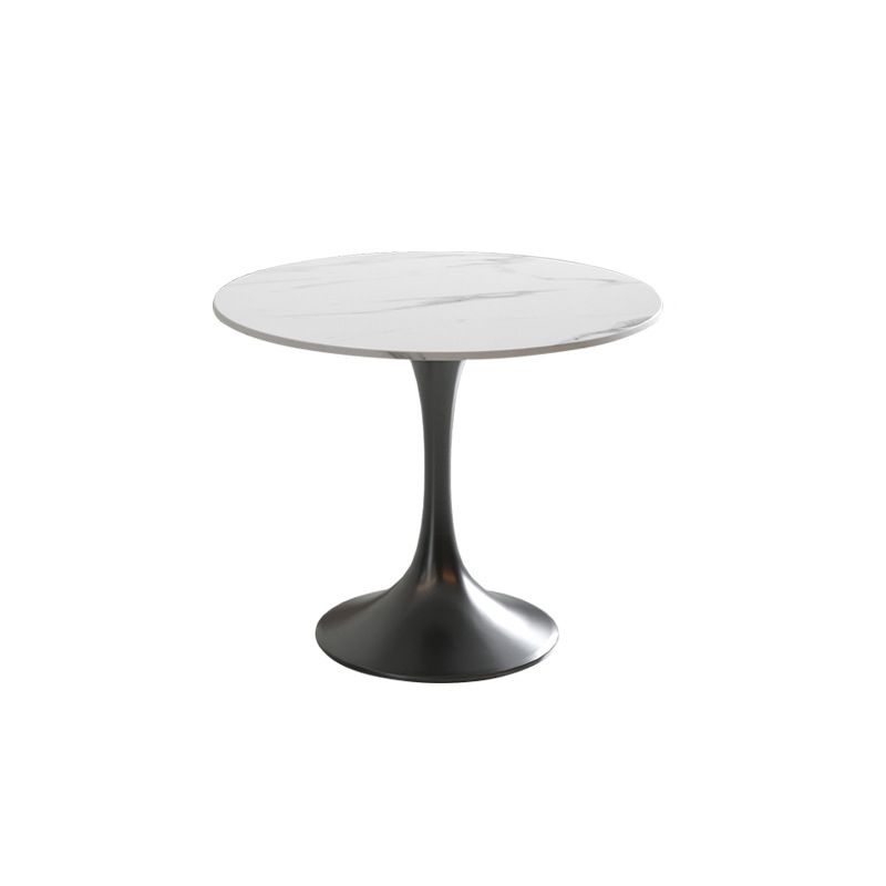 Metal Traditional Luxury Round Table White Sintered Stone Top Table with Tulip Base Clearhalo 'Dining Tables & Seating' 'Dining Tables' 'dining_table' 'furn' 'furn_dining_table' 'Furniture' 'Kitchen & Dining Furniture' 1200x1200_1f7335c2-5eae-4753-bf9f-916f2e826543