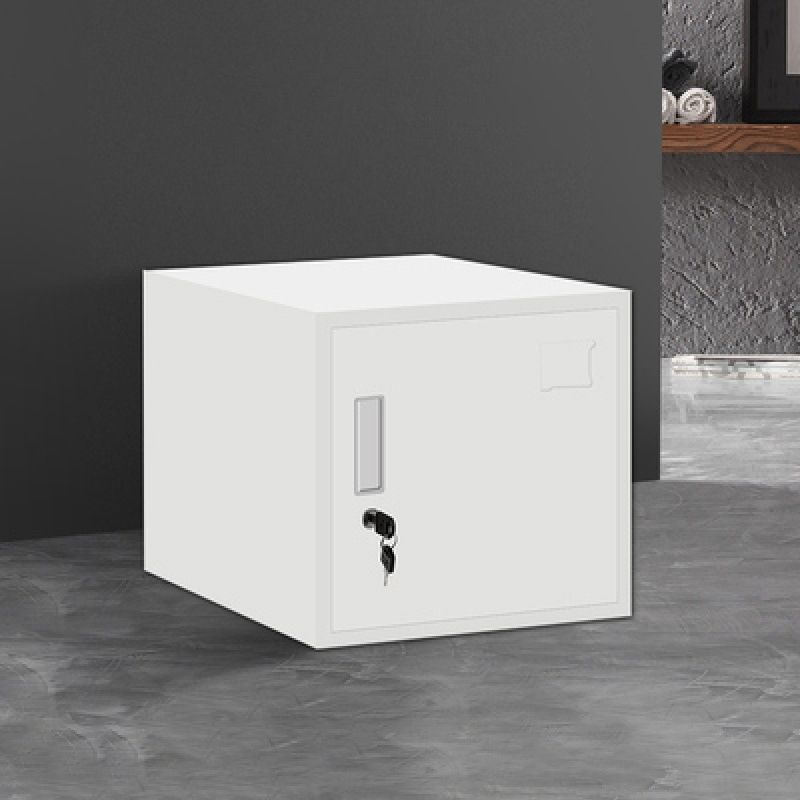 Traditional Metal Cabinet with Lock and Storage File Cabinet for Office Clearhalo 'Filing Cabinets' 'filling_cabinets' 'furn' 'furn_filling_cabinets' 'Furniture' 'Office Furniture' 1200x1200_1fe7427e-b83b-47a2-bc79-450512a286e2