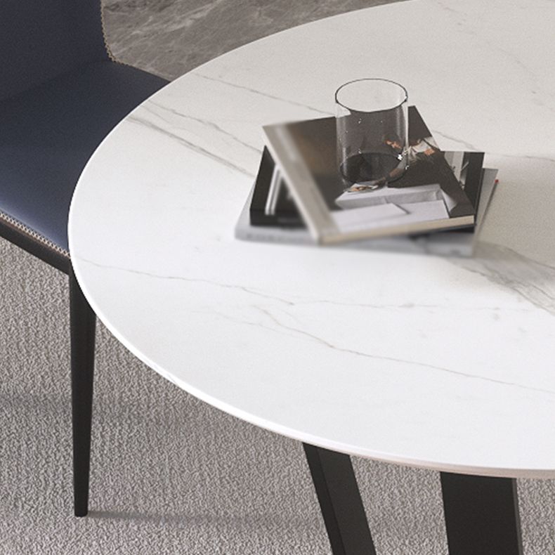 Modern 1/2/5/7 Pieces Dining Set Round Stone Dining Table for Dining Room Clearhalo 'Dining Room Sets' 'Dining Tables & Seating' 'dining_room_set' 'furn' 'furn_dining_room_set' 'Furniture' 'furniture_dining_room_set' 'Kitchen & Dining Furniture' 1200x1200_1ffa69de-0675-4bb7-bfba-25c687a66fec