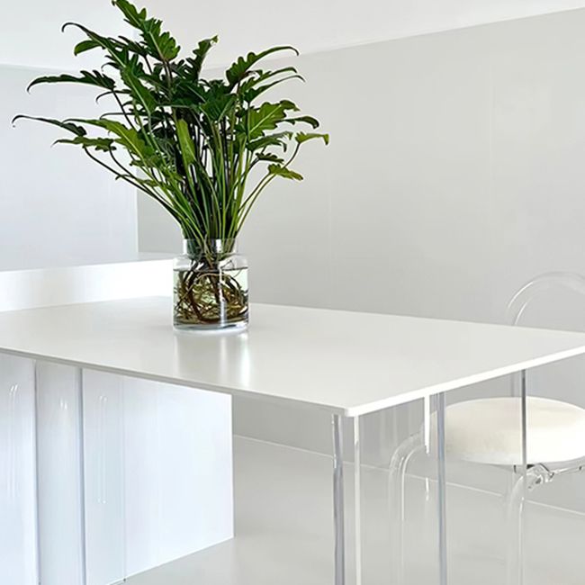 Modern 1/2/4 Pieces Dining Set Rectangle Acrylic Dining Table for Dining Room Clearhalo 'Dining Room Sets' 'Dining Tables & Seating' 'dining_room_set' 'furn' 'furn_dining_room_set' 'Furniture' 'furniture_dining_room_set' 'Kitchen & Dining Furniture' 'kitchen&dining_furn' 'kitchen' 1200x1200_203db754-e63f-435a-b46f-a71e741fafaa