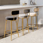 Glam Armless Backrest Counter Stool Iron Counter Stool with Cushion and Pedal Clearhalo 'Bar Furniture' 'Bar Stools' 'bar_stools' 'furn' 'furn_bar_stools' 'Furniture' 'Kitchen & Dining Furniture' 1200x1200_20901cd3-b8a1-4dfc-b33d-0bb823e7f356