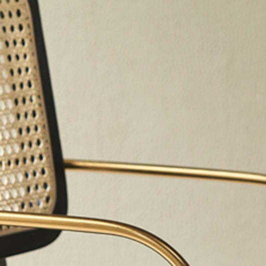 Traditional Dining Accent Chair Upholstered Dining Room Chair Clearhalo 'Dining Chairs' 'Dining Tables & Seating' 'dining_chair' 'furn' 'furn_dining_chair' 'Furniture' 'Kitchen & Dining Furniture' 1200x1200_21107403-563e-4683-ba0d-d5760519d617