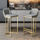 Glam Backrest Counter Stool Iron Kitchen Bar Stool with Leather Cushion and Pedal Clearhalo 'Bar Furniture' 'Bar Stools' 'bar_stools' 'furn' 'furn_bar_stools' 'Furniture' 'Kitchen & Dining Furniture' 1200x1200_21314c4f-b48a-4568-ba2c-3eb2fc7b608d