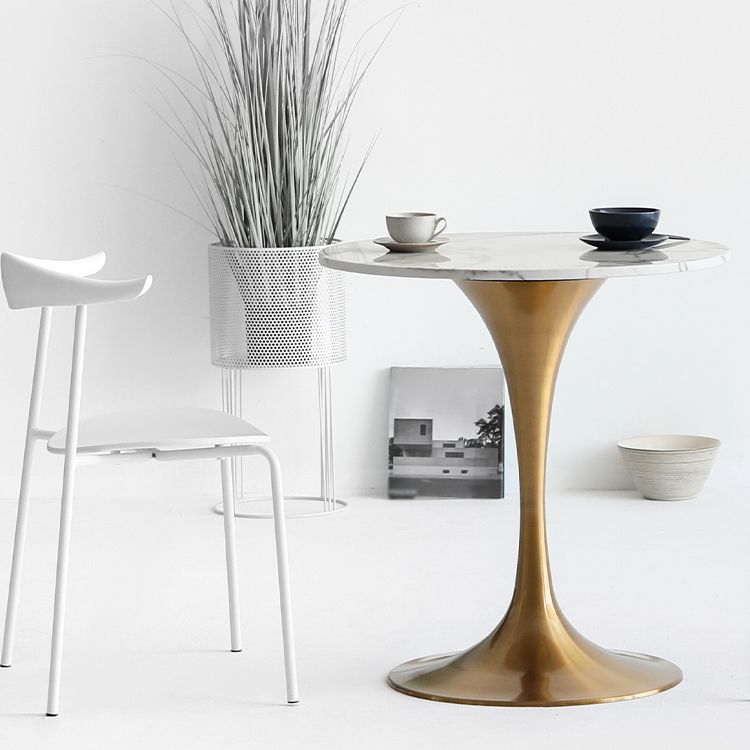 Metal Modern Round Dining Table Marble Top Indoor Table with Tulip Base Clearhalo ' dining_table' 'Dining Tables & Seating' 'Dining Tables' 'furn' 'furn_dining_table' 'Furniture' 'furniture_dining_table' 'Kitchen & Dining Furniture' 'kitchen&dining_furn' 'kitchen' 'kitchen_dining_table' 1200x1200_218dd561-d242-42ef-b9bd-1972ca12deaa