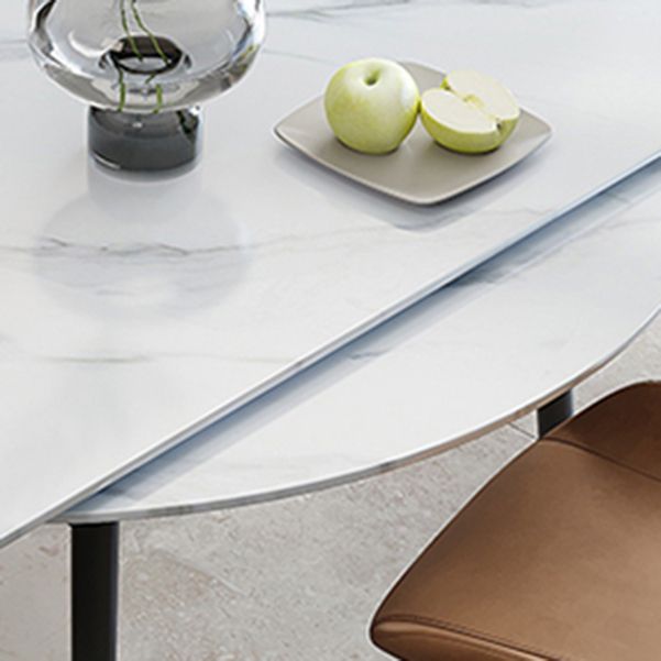 Contemporary Style Round Dining Table Set 1/4/6/7 Pieces Sintered Stone Dining Set Clearhalo 'Dining Room Sets' 'Dining Tables & Seating' 'dining_room_set' 'furn' 'furn_dining_room_set' 'Furniture' 'Kitchen & Dining Furniture' 1200x1200_21db75d2-af85-42f4-a9ed-f5884aa88384
