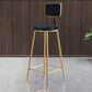 Glam Armless Backrest Counter Stool Steel Cashier Bar Stool with Flannel Cushion and Pedal Clearhalo 'Bar Furniture' 'Bar Stools' 'bar_stools' 'furn' 'furn_bar_stools' 'Furniture' 'furniture_bar_stools' 'Kitchen & Dining Furniture' 1200x1200_21e268f5-ecaf-4015-aaaf-e88f71fbd5ac