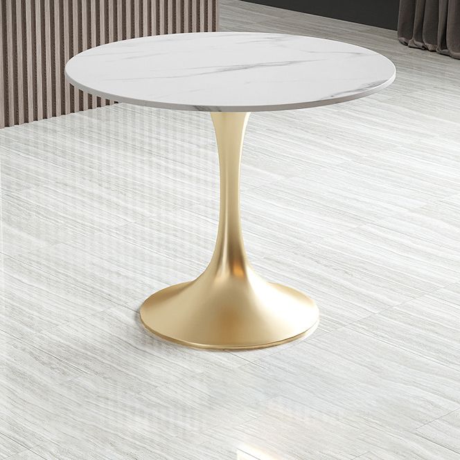 Metal Traditional Luxury Round Table White Sintered Stone Top Table with Tulip Base Clearhalo 'Dining Tables & Seating' 'Dining Tables' 'dining_table' 'furn' 'furn_dining_table' 'Furniture' 'Kitchen & Dining Furniture' 1200x1200_2288b51b-0c57-457b-aef3-f51d4394eca9