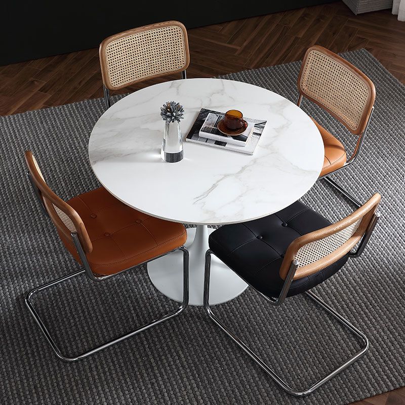 Stone Top Dining Table Modern Round Dining Table with Pedestal Base Clearhalo 'Dining Tables & Seating' 'Dining Tables' 'dining_table' 'furn' 'furn_dining_table' 'Furniture' 'furniture_dining_table' 'Kitchen & Dining Furniture' 'kitchen' 'kitchen_dining_table' 1200x1200_22bd2457-79ca-4a99-a2a6-9a8cb041c008