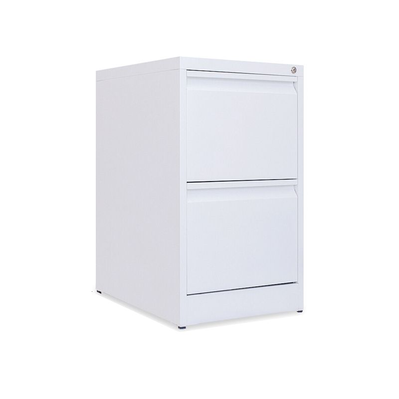 Modern Vertical Filing Cabinet Metal Filing Cabinet with Lock and Storage Clearhalo 'Filing Cabinets' 'filling_cabinets' 'furn' 'furn_filling_cabinets' 'Furniture' 'Office Furniture' 1200x1200_230d7a50-a664-4e3b-a956-c8d099c79640