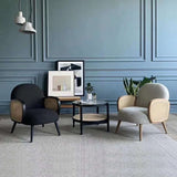 Mid-century Fixed Back Accent Armchair Bedroom Solid Color Accent Chair Clearhalo 'Accent Chairs' 'accent_chairs' 'Chairs & Seating' 'furn' 'furn_accent_chairs' 'Furniture' 'Living Room Furniture' 1200x1200_23a52eda-1a99-4fc4-b555-184c5ec4cd05