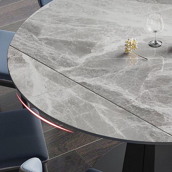 Contemporary Round Dining Table Sintered Stone Dining Table with Pedestal Base Clearhalo ' dining_table' 'Dining Tables & Seating' 'Dining Tables' 'furn' 'furn_dining_table' 'Furniture' 'furniture_dining_table' 'Kitchen & Dining Furniture' 'kitchen&dining_furn' 'kitchen' 'kitchen_dining_table' 1200x1200_248c1f05-89cf-4f3b-9f81-f5ac33ec7cea