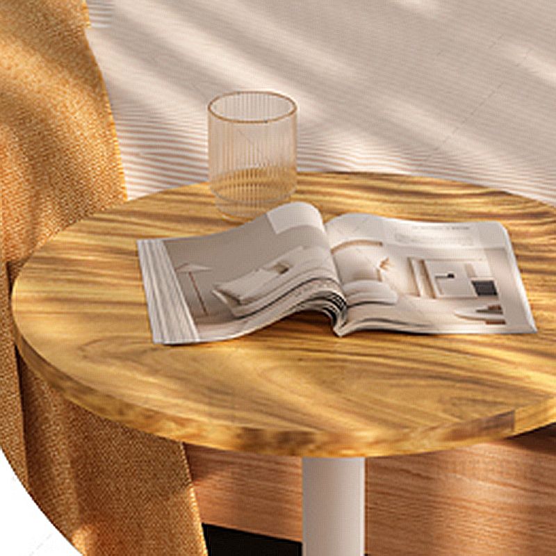 Tavolo di estremità del piedistallo rotondo Minimalista Legno late