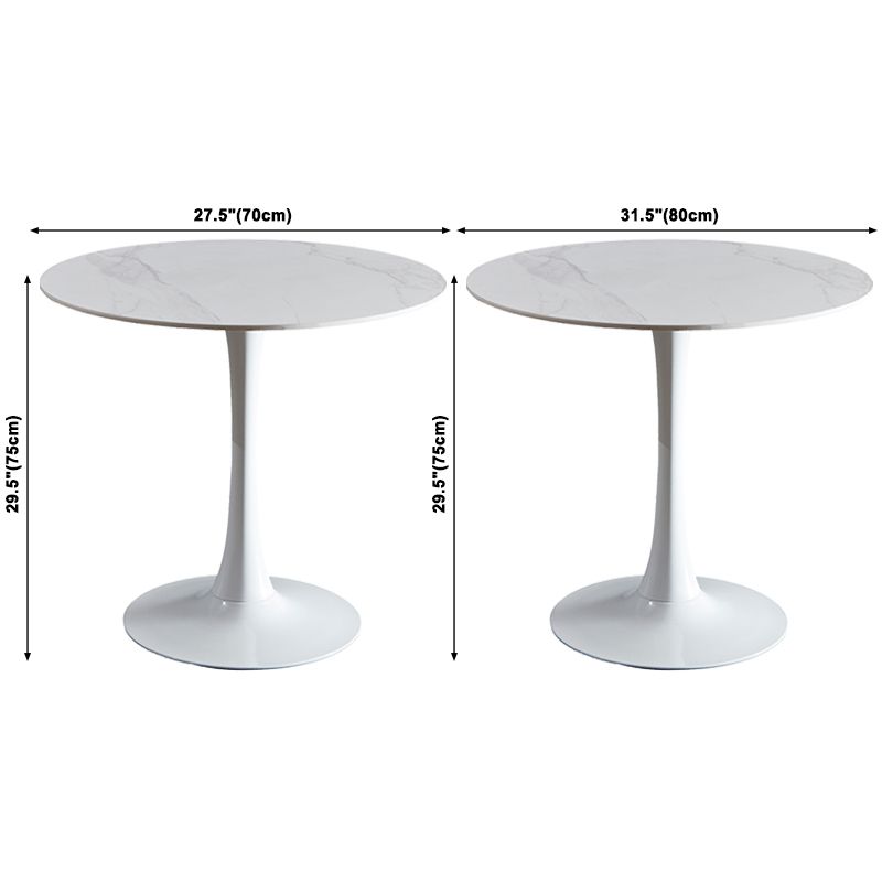 Round Sintered Stone White Dining Table Minimalist Tulip Base Table for Dining Room Clearhalo ' dining_table' 'Dining Tables & Seating' 'Dining Tables' 'furn' 'furn_dining_table' 'Furniture' 'furniture_dining_table' 'Kitchen & Dining Furniture' 'kitchen&dining_furn' 'kitchen' 'kitchen_dining_table' 1200x1200_251e25fe-badb-44f4-a4af-21c17d35a91b