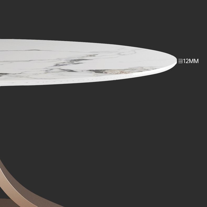 Modern 1/4/7 Pieces Dining Table Set with Sintered Stone Top Stainless Steel Dinette Set Clearhalo 'Dining Room Sets' 'Dining Tables & Seating' 'dining_room_set' 'furn' 'furn_dining_room_set' 'Furniture' 'furniture_dining_room_set' 'Kitchen & Dining Furniture' 'kitchen&dining_furn' 'kitchen' 1200x1200_2537f5ec-591a-45fd-812b-deb2bd58592e