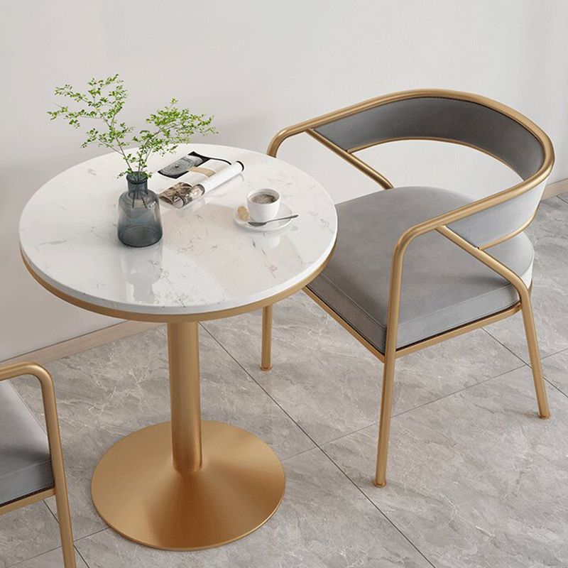 Glam Style Arm Dining Chairs Gold Iron Frame Open Back Dining Side Chair