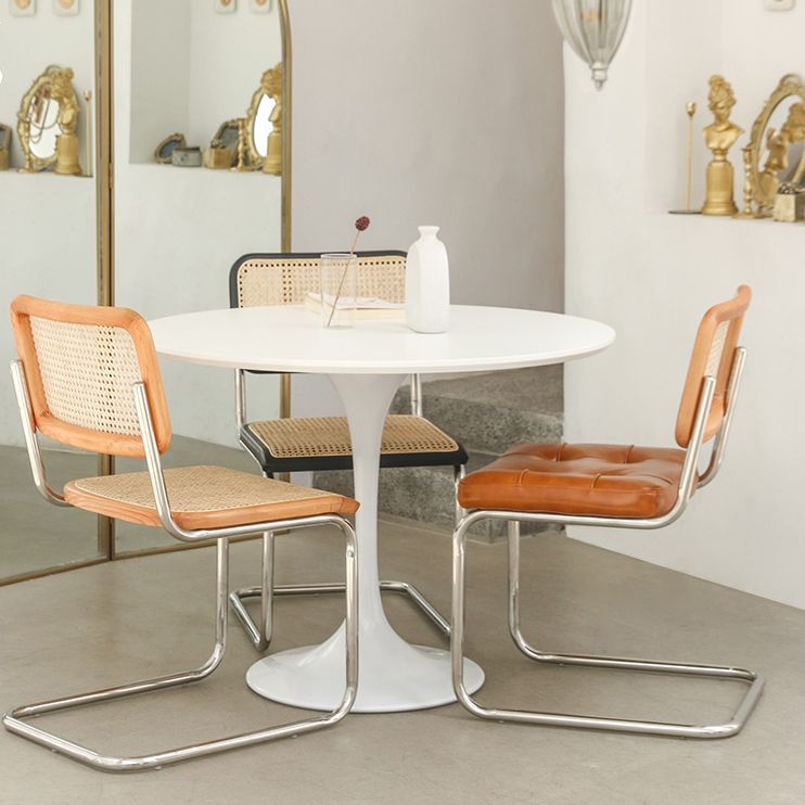 Round Tulip Base Modern Dining Table White Fixed Table with Sintered Stone Clearhalo ' dining_table' 'Dining Tables & Seating' 'Dining Tables' 'furn' 'furn_dining_table' 'Furniture' 'furniture_dining_table' 'Kitchen & Dining Furniture' 'kitchen&dining_furn' 'kitchen' 'kitchen_dining_table' 1200x1200_257ef655-b508-438f-a990-76e7b3785164