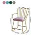 Glam Velvet Dining Room Chair Metal Dining Side Arm Chair for Restaurant Use Clearhalo ' kitchen&dining_furn' 'Dining Chairs' 'Dining Tables & Seating' 'dining_chair' 'furn' 'furn_dining_chair' 'Furniture' 'furniture_dining_chair' 'Kitchen & Dining Furniture' 'kitchen' 1200x1200_25b44b91-1f76-4eff-872c-b4f1ae7b524f