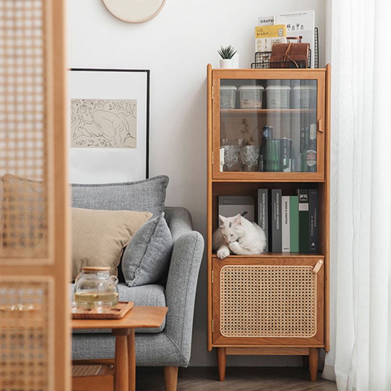 Glass Paned Cabinet Brown Pine and Cherry Accent Cabinet with Doors Clearhalo 'Cabinets & Chests' 'cabinets_chests' 'furn' 'furn_cabinets_chests' 'Furniture' 'Living Room Furniture' 1200x1200_25f1bee3-4204-41d4-993a-1aa763c4272a