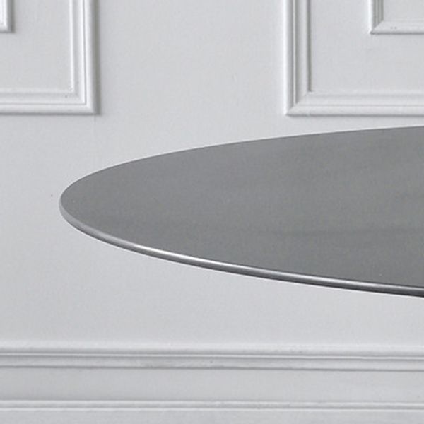 Modern Stone Round Table Matte Finish Pedestal Dining Table for Kitchen Clearhalo ' dining_table' 'Dining Tables & Seating' 'Dining Tables' 'furn' 'furn_dining_table' 'Furniture' 'furniture_dining_table' 'Kitchen & Dining Furniture' 'kitchen&dining_furn' 'kitchen' 'kitchen_dining_table' 1200x1200_263b8d79-1deb-4cdd-af75-826885c5a96b