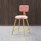 Glam Round Counter Bar Stool Upholstered Backrest Bar Stool with Footrest Clearhalo 'Bar Furniture' 'Bar Stools' 'bar_stools' 'furn' 'furn_bar_stools' 'furniture_bar_stools' 'Kitchen & Dining Furniture' 'kitchen&dining_furn' 'kitchen' 'kitchen_furn' Furniture' 1200x1200_2660566a-343d-4e0a-941e-35450b29f92f
