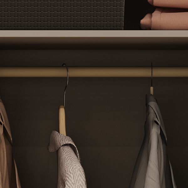 Contemporary Style Wardrobe Wooden Bedroom Wardrobe Closet with Clothes Rail Clearhalo 'Armoires & Wardrobes' 'armoires_wardrobes' 'Bedroom Furniture' 'furn' 'furn_armoires_wardrobes' 'Furniture' 1200x1200_2683a105-3e68-4845-b036-ca1cd3f28dee