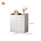 Minimalist Wooden Accent Cabinet Bar Pulls Handle Design Storage Cabinet