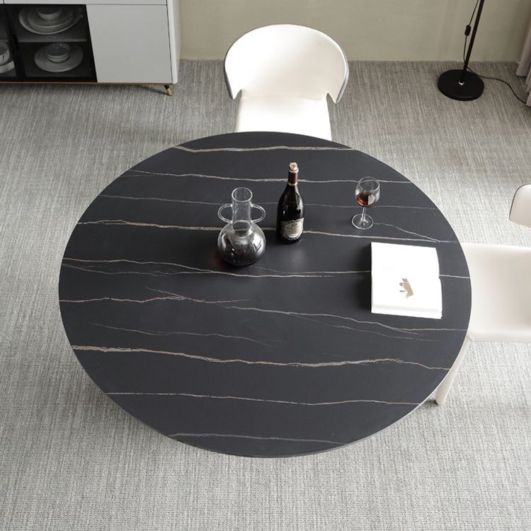 Sintered Stone Modern Round Dining Table Black Stone Top Table with Pedestal Clearhalo ' dining_table' 'Dining Tables & Seating' 'Dining Tables' 'furn' 'furn_dining_table' 'Furniture' 'furniture_dining_table' 'Kitchen & Dining Furniture' 'kitchen&dining_furn' 'kitchen' 'kitchen_dining_table' 1200x1200_26c9a9fb-ea9c-4995-be91-fe6fe3140dbe