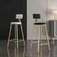 Glam Style Backrest Counter Stool Iron Kitchen Bar Stool with Velvet Cushion and Pedal Clearhalo 'Bar Furniture' 'Bar Stools' 'bar_stools' 'furn' 'furn_bar_stools' 'Furniture' 'Kitchen & Dining Furniture' 1200x1200_2733f01b-141e-4e74-947c-ebc1d3f0813f