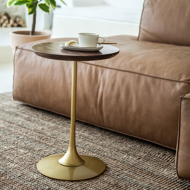 Scandinavian Round Solid Wood Top Side Table Metal Pedestal End Table Clearhalo 'Coffee & Accent Tables' 'End & Side Tables' 'end_side_tables' 'furn' 'furn_end_side_tables' 'Furniture' 'Living Room Furniture' 1200x1200_275f1180-d128-4692-9d4d-86d34560fcf0