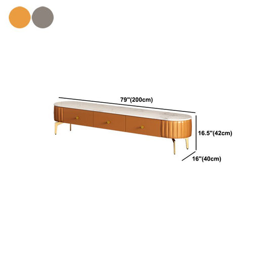 Scandinavian TV Media Stand Enclosed Storage TV Stand Console Clearhalo 'furn' 'furn_tv_stands_entertainment_centers' 'Furniture' 'Living Room Furniture' 'TV Stands & Entertainment Centers' 'TV Stands & Media Storage Furniture' 'tv_stands_entertainment_centers' 1200x1200_278682d0-3c30-4749-918d-00f6450af26e