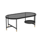Contemporary Elliptical Glass & Slate Coffee Cocktail Table with Storage Shelf Clearhalo 'Coffee & Accent Tables' 'Coffee Tables' 'coffee_tables' 'furn' 'furn_coffee_tables' 'Furniture' 'Living Room Furniture' 1200x1200_284d8dd5-0df2-46a6-b065-3c831c6920ca