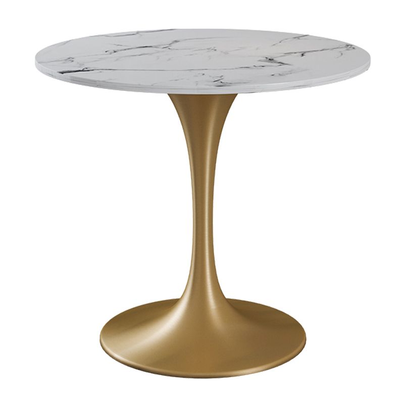Round Shape Tulip Base Glam Dining Table White Fixed Table of Sintered Stone Clearhalo ' dining_table' 'Dining Tables & Seating' 'Dining Tables' 'furn' 'furn_dining_table' 'Furniture' 'furniture_dining_table' 'Kitchen & Dining Furniture' 'kitchen&dining_furn' 'kitchen' 'kitchen_dining_table' 1200x1200_286782c5-2564-4a24-a9ac-e22d19fdb685